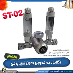رگلاتور co2 مدل دو خروجی ST-02 بدون شیر برقی پرفشنال