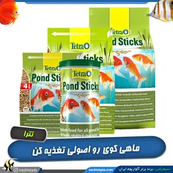 غذای روزانه ماهی کوی پوند استیک تترا