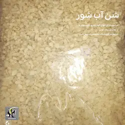 شن درجه یک آب شور سایز لارج ریف کوین