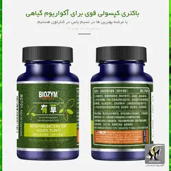 کپسول باکتری آکواریوم های گیاهی BC701 بایوزیم
