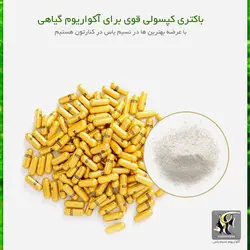 کپسول باکتری آکواریوم های گیاهی BC701 بایوزیم