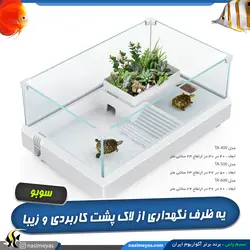 مینی تراریوم و ظرف لاک پشت و دوزیستان مدل TA سوبو