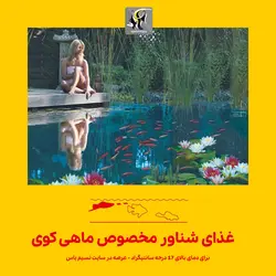 غذای ترکیبی سامر فود ماهی کوی سرا