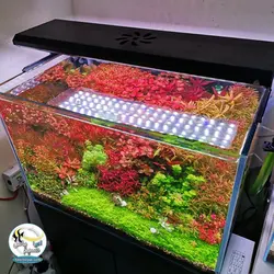 سیستم ال ای دی فول کنترل آکواریوم P1200 پرو ویک آکوا