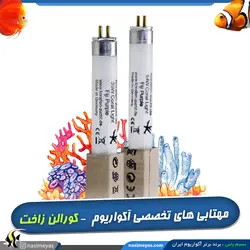 مهتابی آکواریوم فیجی پرپل کورالن زاخت