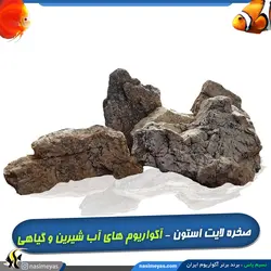 سنگ لایت استون دیزاین آکواریوم و تراریوم
