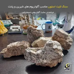 سنگ لایت استون دیزاین آکواریوم و تراریوم