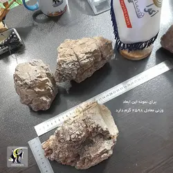 سنگ دارک استون دیزاین آکواریوم و تراریوم