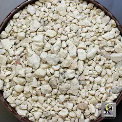 مدیا کلسیم ریف راکتور ام دی سیچم