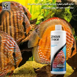 عناصر کمیاب ضروری دیسکس تریس سیچم