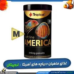 غذای چیپس سافت لاین آمریکا سایز بزرگ تروپیکال