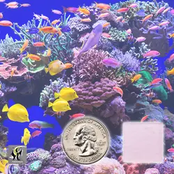 قرص پتاسیم ، ید و برم کالیوم آیوداید فلور کورالن زاخت