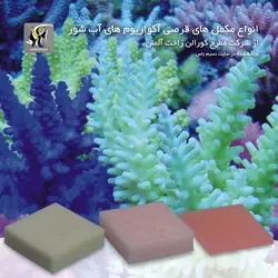 قرص پتاسیم ، ید و برم کالیوم آیوداید فلور کورالن زاخت