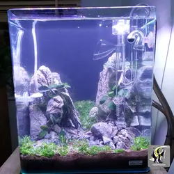 ست ورودی و خروجی شیشه ای فیلتر آکواریوم سری A با اسکیمر سطح آب