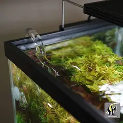 ست ورودی و خروجی شیشه ای فیلتر آکواریوم سری A با اسکیمر سطح آب