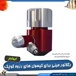 رگلاتور co2 رزوه کوچک 3040 ایهایم