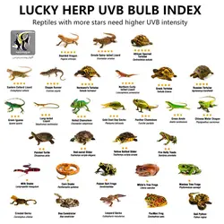 لامپ یو وی دار UVB 5 خزندگان و تراریوم 13 وات لاکی هرپ