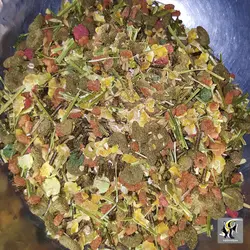 غذای ترکیبی خوکچه هندی کریسپی میوزلی ورسله لاگا