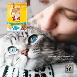 غذای گربه های بالغ با گوشت سالمون لارا ورسله لاگا