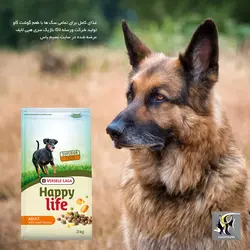 غذای سگ بالغ با طعم گوشت گاو هپی لایف بیف ورسله لاگا
