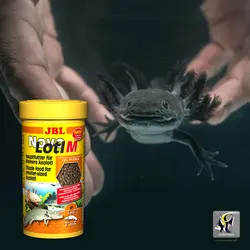 غذای کامل اکسولوتل نوو لوتل M جی بی ال