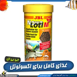 غذای کامل اکسولوتل نوو لوتل M جی بی ال
