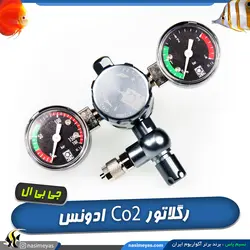 رگلاتور Co2 پروفلورا ادونس دو گیج جی بی ال