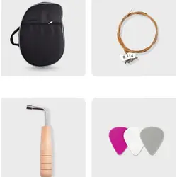 چنگ رومی 16 سیم سگا مدل LY16_PW