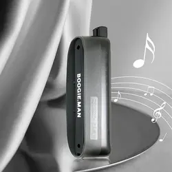 سازدهنی کروماتیک کونگ شنگ مدل KB12