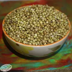 تخم گشنیز