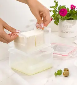 ظرف نگهدارنده پنیر و زیتون لیمون کد 1302