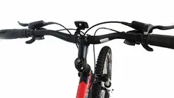 دوچرخه ویوا IGNITE 29