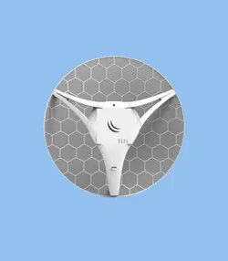 رادیو وایرلس LHG LTE kit