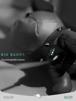 پاوربانک فانتزی سگ فرنچ