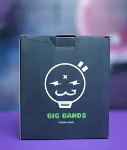 پاوربانک فانتزی سگ فرنچ