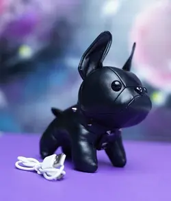 پاوربانک فانتزی سگ فرنچ