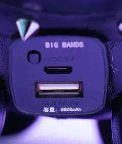 پاوربانک فانتزی سگ فرنچ