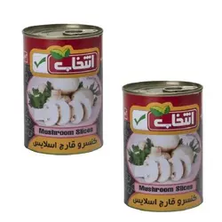 کنسرو قارچ اسلایس انتخاب - 420 گرم بسته 2 عددی 🟢 قیمت : 0&nbsp;تومان - فروشگاه آنلاین نیک سرا