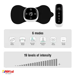 ماساژور استیک EMS CRE-AS-033A