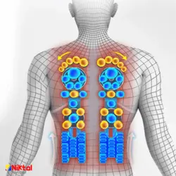 صندلى ماساژ آیجویر DZ9