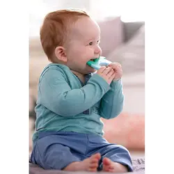 دندانگیر طرح فیل اونت Avent