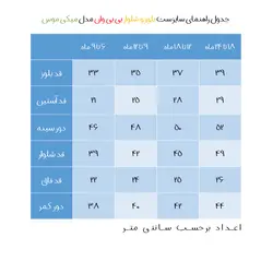 ست سویشرت و شلوار نوزادی بی بی وان مدل 220 -3