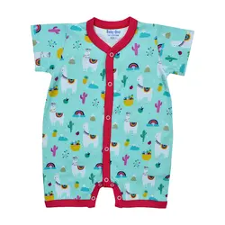 رامپر بی بی وان کاکتوس - نیروان