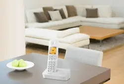 تلفن بیسیم فیلیپس مدل D4001W