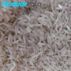 برنج کامفیروز وزن 10 کیلوگرم - فروشگاه اینترنتی نوآورکالا