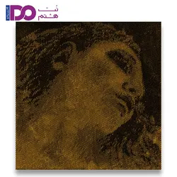سیم ویولن پیراسترو اوا پیرازی طلایی1