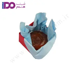 ویولن لوترا مدل VN-100 قیمت خرید و فروش | گالری موسیقی نت هشتم