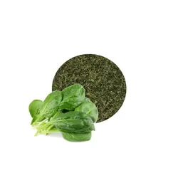 سبزی اسفناج خشک اعلاء کرنلو ناتس کالا ( 500 گرم )