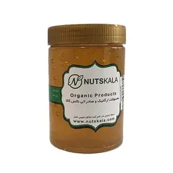 عسل طبیعی گون ناتس کالا ( یک کیلو خالص)