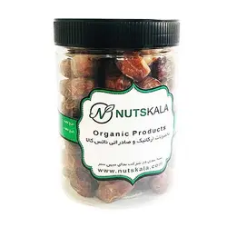 خرما خاصویی ممتاز ناتس کالا (جار استوانه ۵۰۰ گرم)